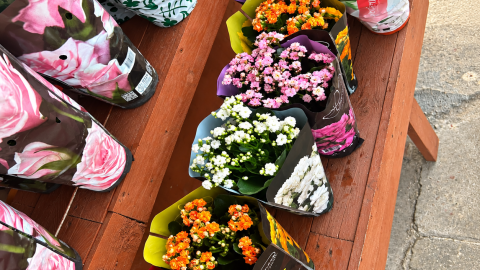 Ramisha's Flower Arrangements